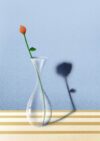 ItMayShow-Marko-Tosic-Original-small-nosig-JPG