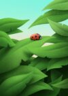 LoveBug-Marko-Tosic-Original-small-nosig-JPG