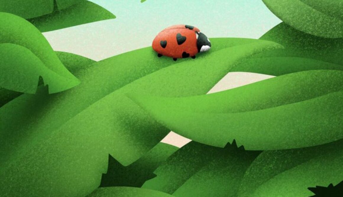 LoveBug-Marko-Tosic-Original-small-nosig-JPG