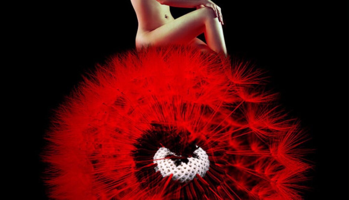 Marko-Tosic-Dandelion
