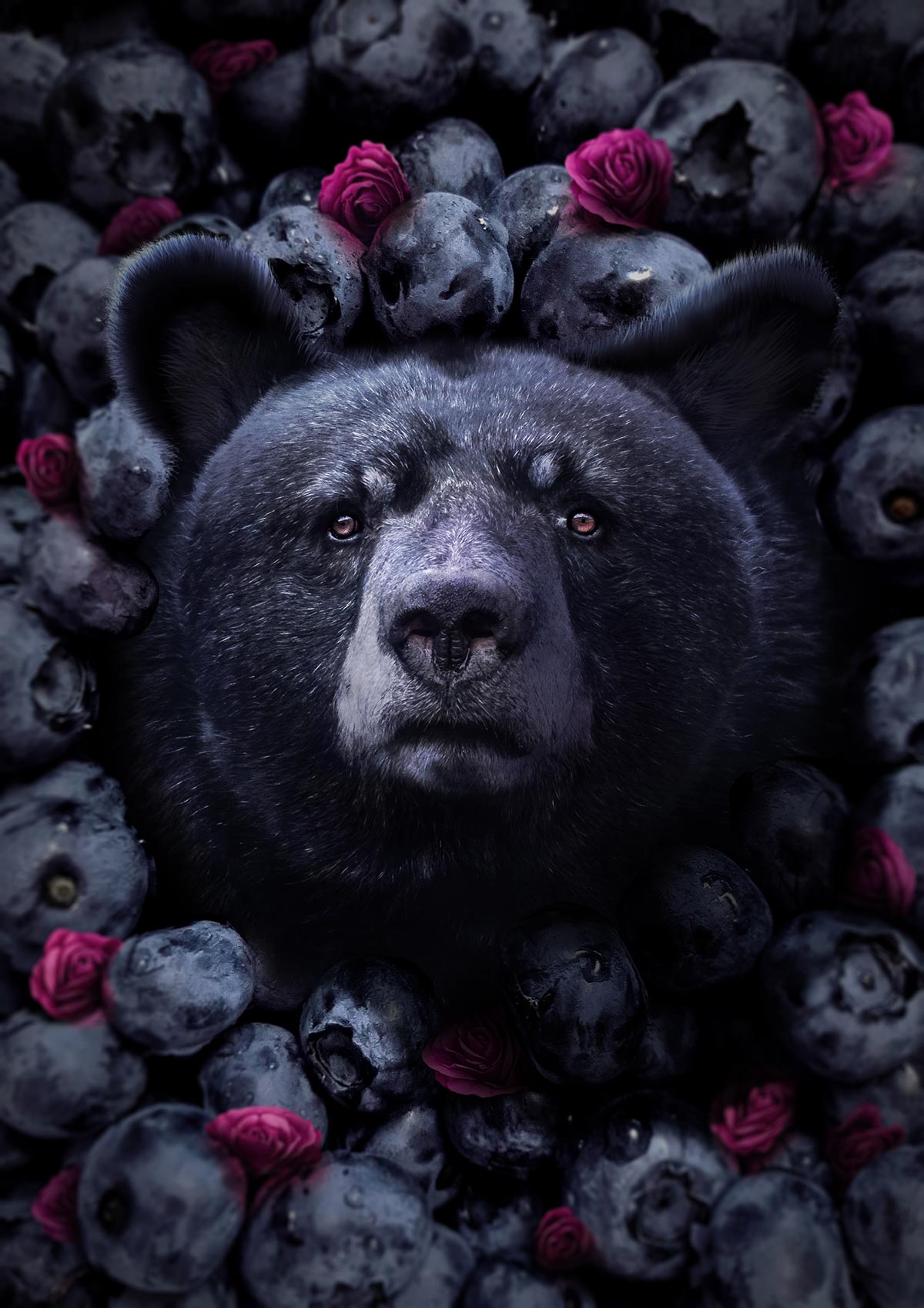 Blueberry Bear