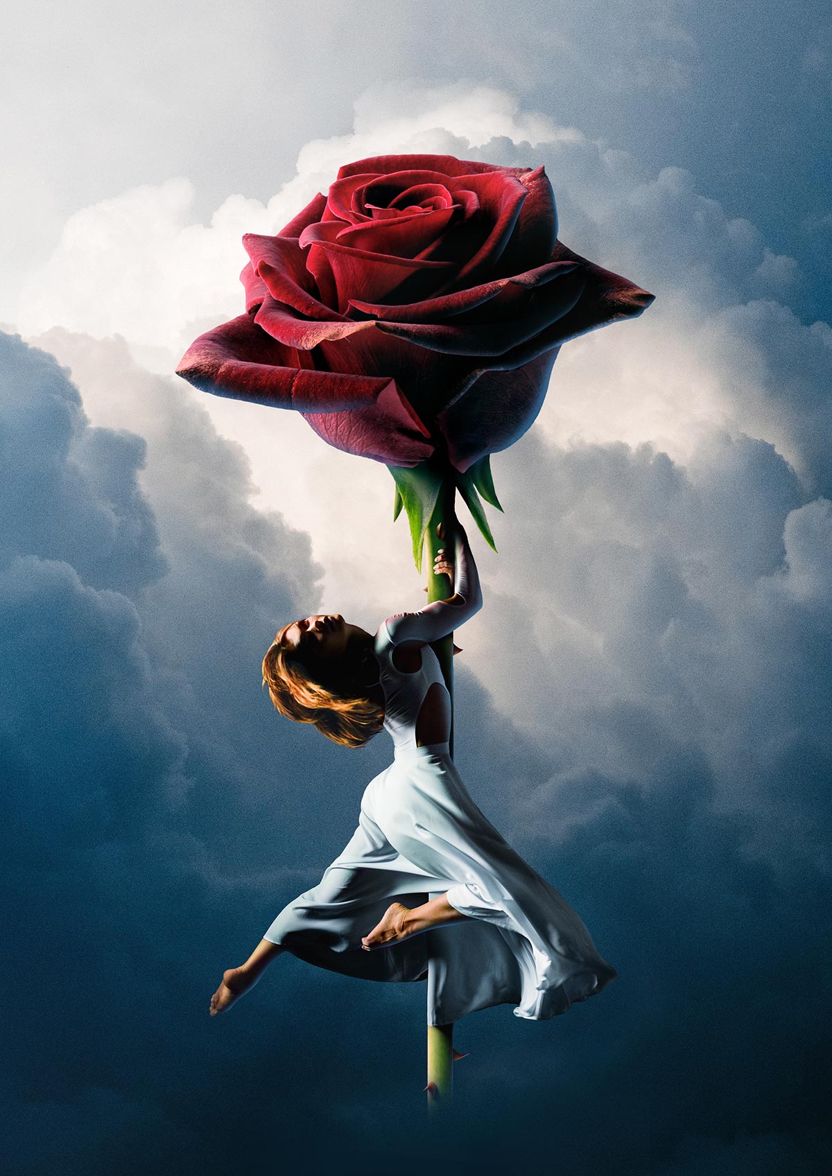Rose Dancer