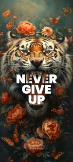 Never Give Up – Roaring Tiger