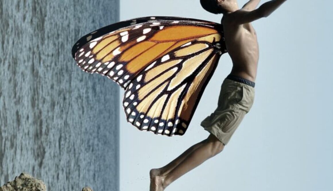 Marko_Tosic_Butterfly_People_komprimerad